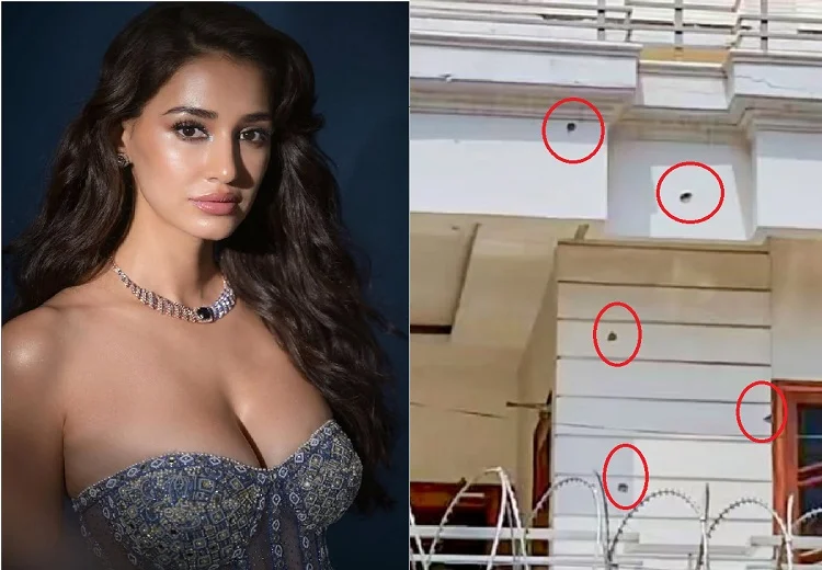 ਦਿਸ਼ਾ ਪਟਾਨੀ