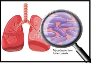 Haryana Medical Council