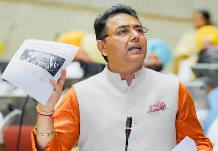 ਪੰਜਾਬ 'ਚ ਹੜ੍ਹ