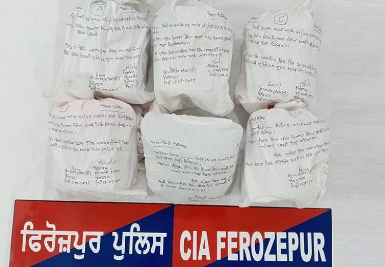 ਫਿਰੋਜ਼ਪੁਰ ਪੁਲਿਸ