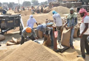 Kharif procurement season