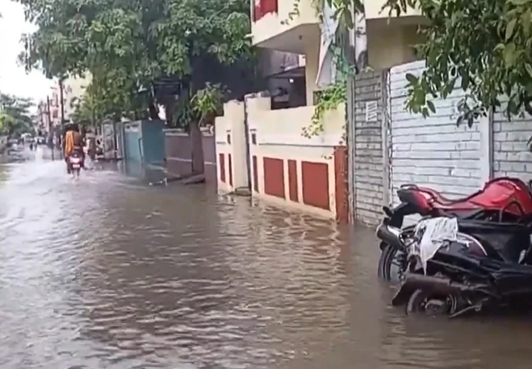 ਛੁੱਟੀਆਂ