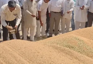 ਝੋਨੇ ਦੀ ਖਰੀਦ