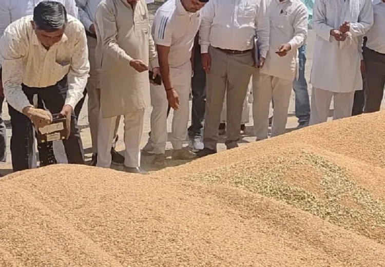 ਝੋਨੇ ਦੀ ਖਰੀਦ