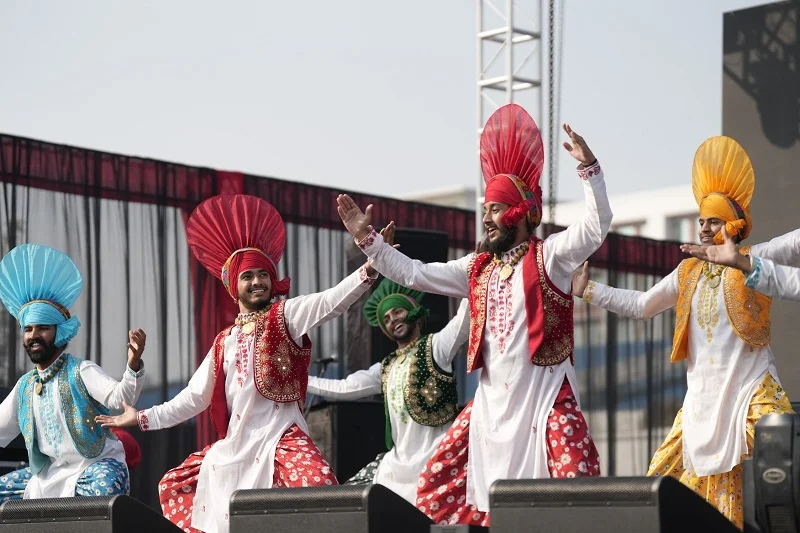 Chandigarh University