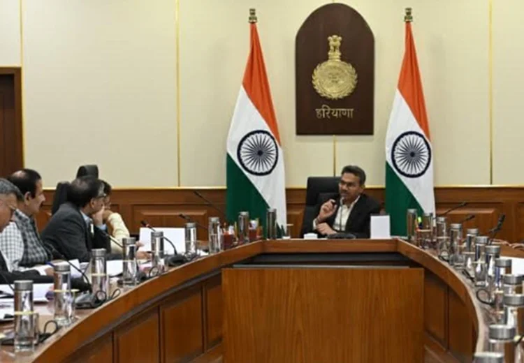 ਆਵਾਰਾ ਕੁੱਤਿਆਂ