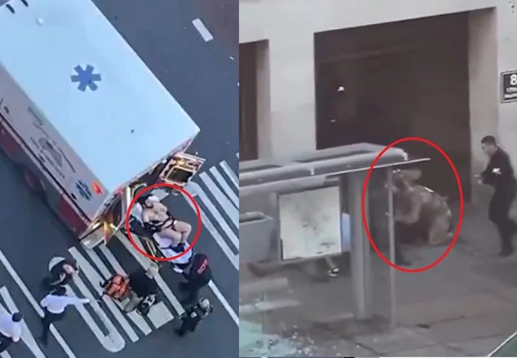 Washington Shooting News