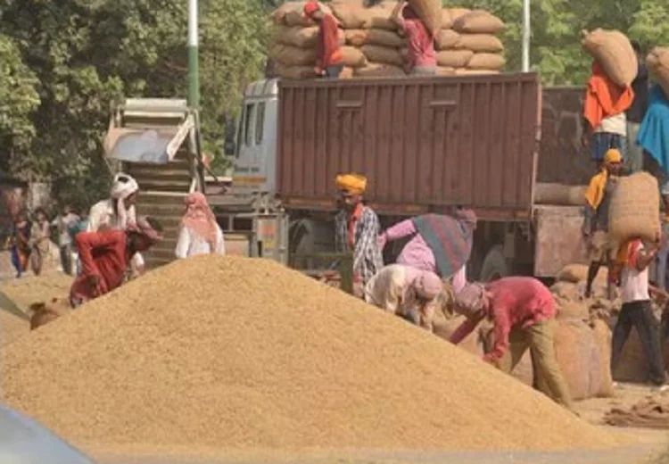 ਝੋਨੇ ਦੀ ਖਰੀਦ