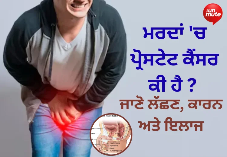 ਪ੍ਰੋਸਟੇਟ ਕੈਂਸਰ ਕੀ ਹੈ