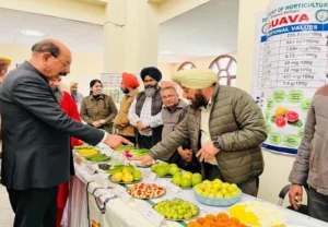 ਬਾਗਬਾਨੀ ਤਕਨਾਲੋਜੀ ਵਿਕਾਸ ਕੇਂਦਰ