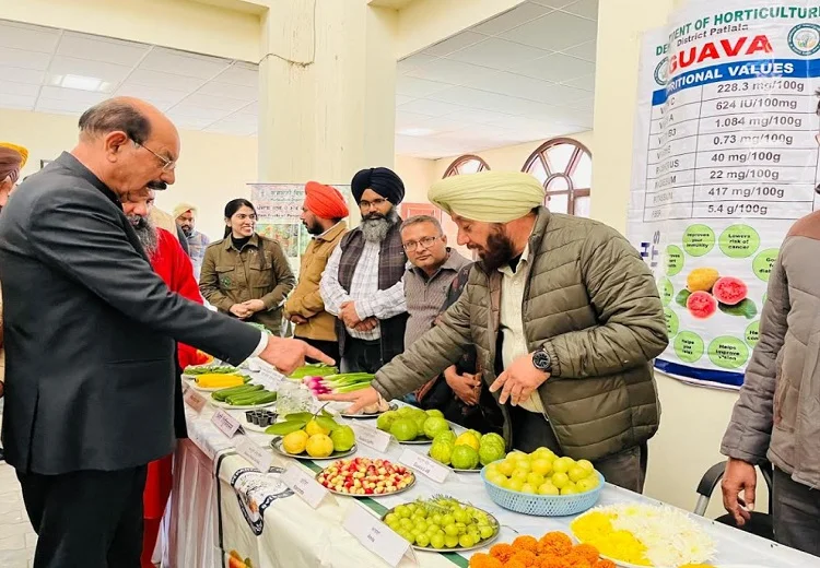 ਬਾਗਬਾਨੀ ਤਕਨਾਲੋਜੀ ਵਿਕਾਸ ਕੇਂਦਰ