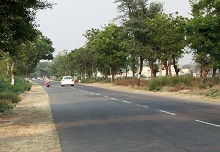 ਸੜਕੀ ਨੈੱਟਵਰਕ