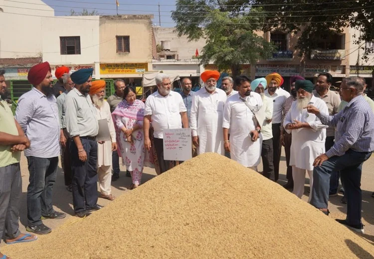 ਝੋਨੇ ਖਰੀਦ ਸੀਜ਼ਨ