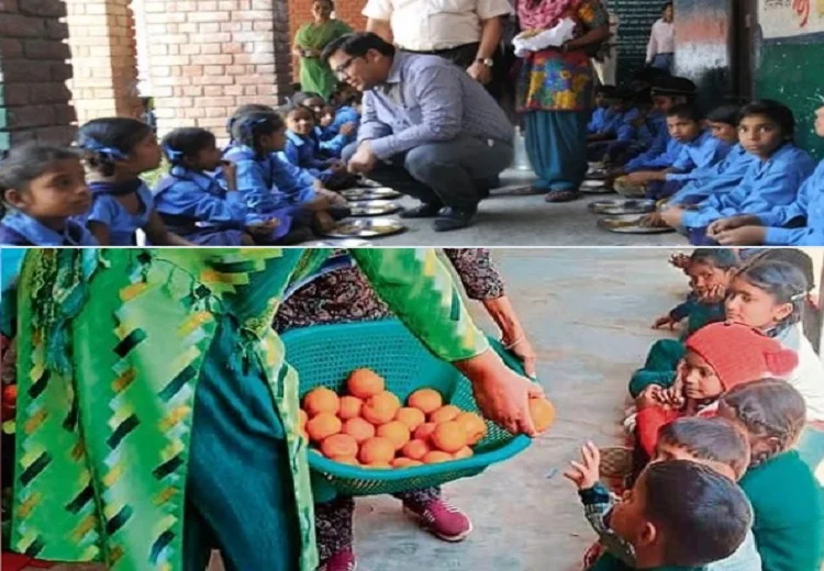 ਪੌਸ਼ਟਿਕ ਬਾਗ਼