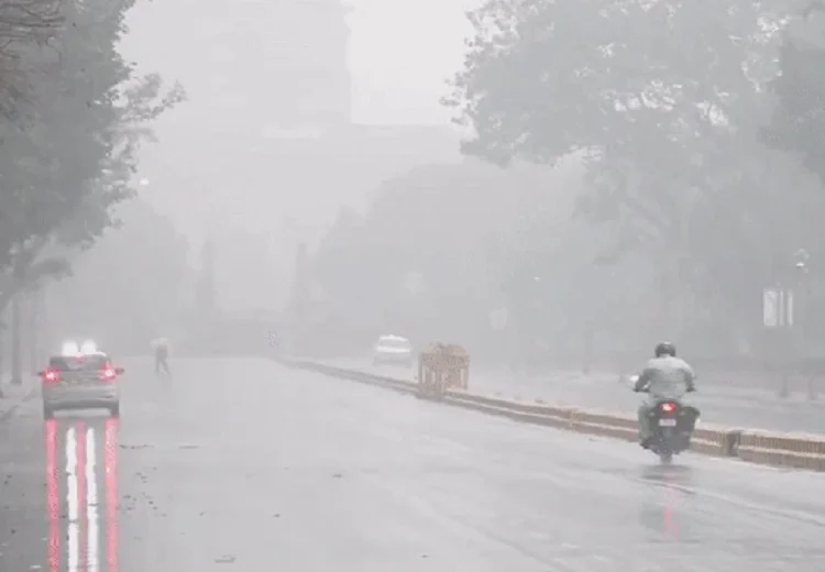 Delhi-NCR Weather