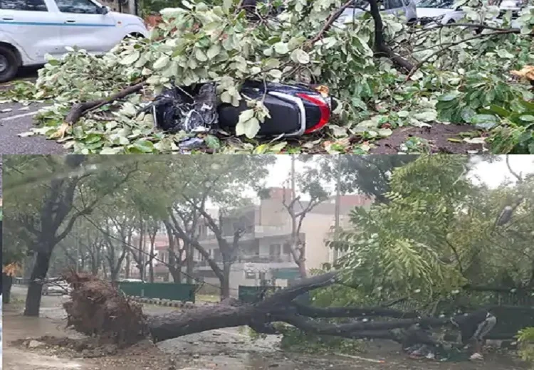 ਤੂਫ਼ਾਨ ਤੇ ਮੀਂਹ