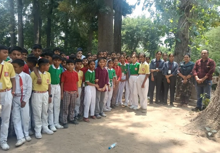 ਮਿਰਜ਼ਾਪੁਰ ਜੰਗਲ ਖੇਤਰ