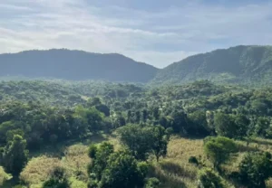 ਅਰਾਵਲੀ ਸੰਭਾਲ ਯੋਜਨਾ