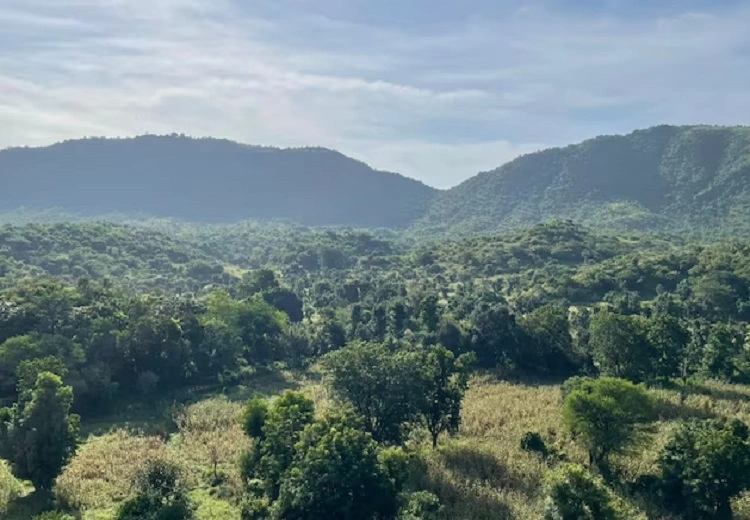 ਅਰਾਵਲੀ ਸੰਭਾਲ ਯੋਜਨਾ