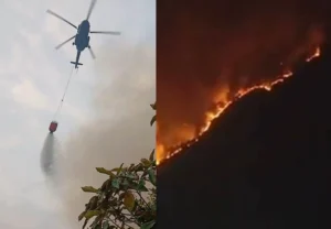 Walong & Dzukou Valley, Indian Air Force, Arunachal Pradesh, ਭਾਰਤੀ ਹਵਾਈ ਫੌਜ