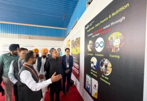 ਡੇਅਰੀ ਫੀਡ ਪਲਾਂਟ