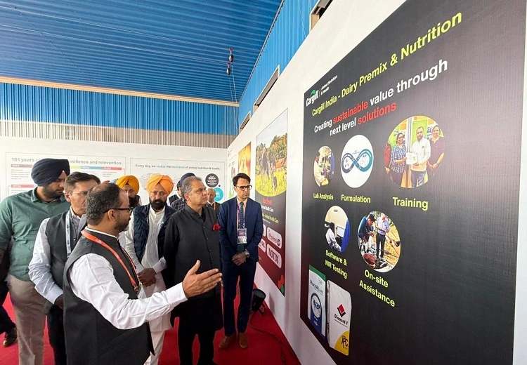 ਡੇਅਰੀ ਫੀਡ ਪਲਾਂਟ