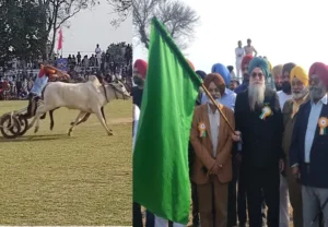 ਬੈਲ ਗੱਡੀ ਦੌੜਾਂ