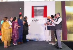 ਪਸ਼ੂ ਚਾਰਾ ਪਲਾਂਟ