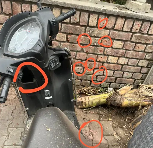 chandigarh blast news