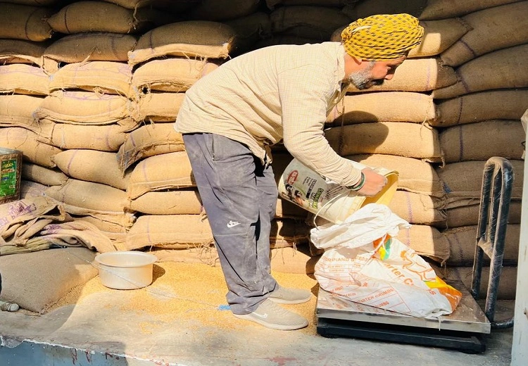 Punjab smart ration cards