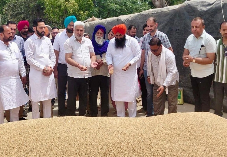 ਪੰਜਾਬ ਦੀਆਂ ਮੰਡੀਆਂ