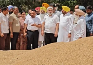 ਕਣਕ ਖਰੀਦ