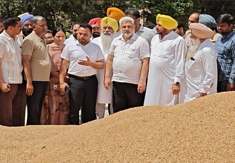 ਕਣਕ ਖਰੀਦ