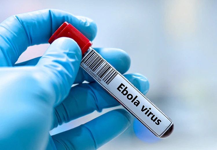 Ebola Virus in india