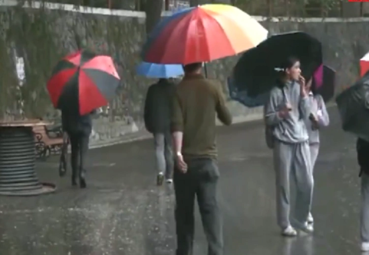 shimla rain