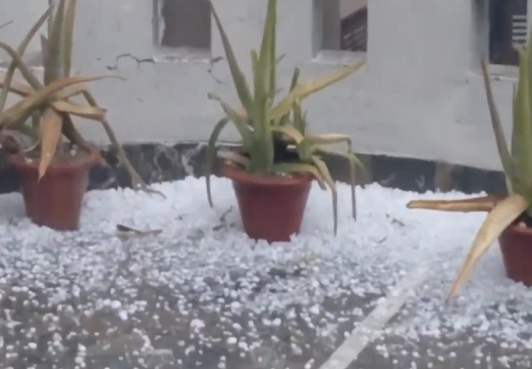 Punjab Rain Alert