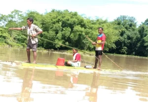 Assam Flood News