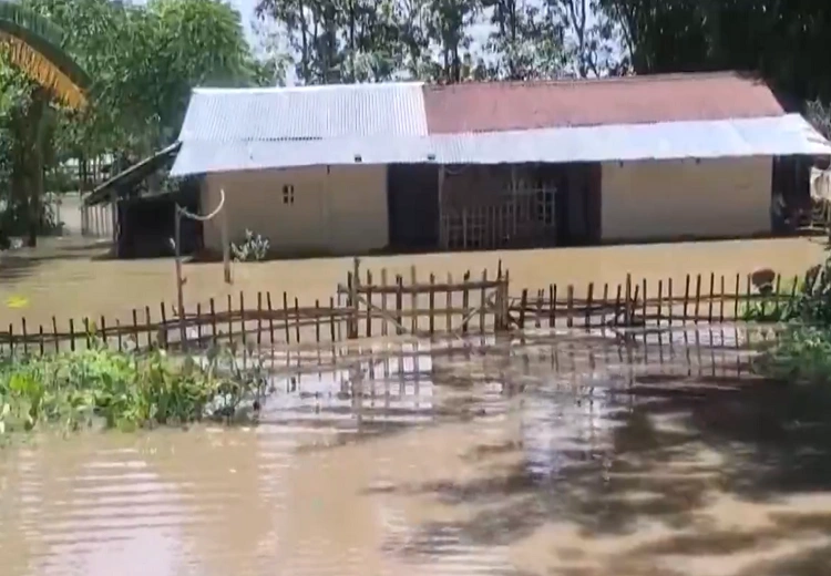 Assam Flood News