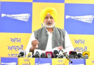ਫਿਲਮ ਸਤਲੁਜ