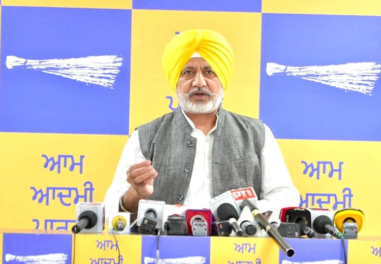 ਫਿਲਮ ਸਤਲੁਜ