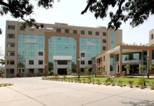Adi Badri