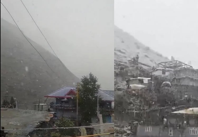 Himachal Snowfall