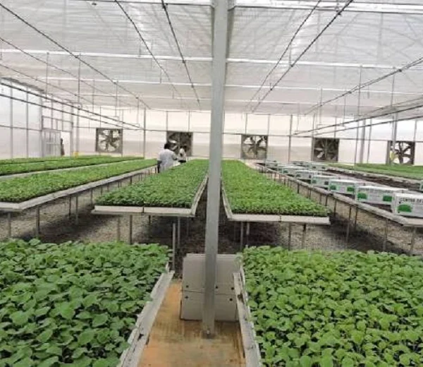free training scheme in horticulture
