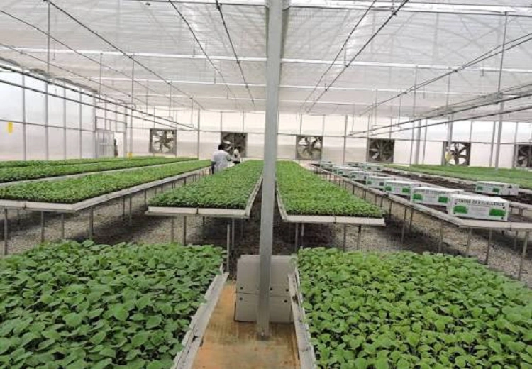 free training scheme in horticulture