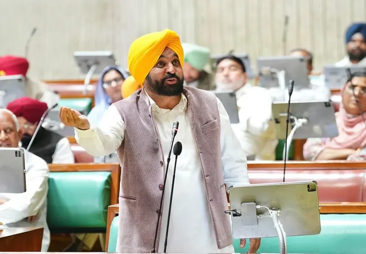 ਸ੍ਰੀ ਕਰਤਾਰਪੁਰ ਸਾਹਿਬ ਲਾਂਘਾ