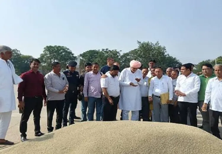 Haryana grain market