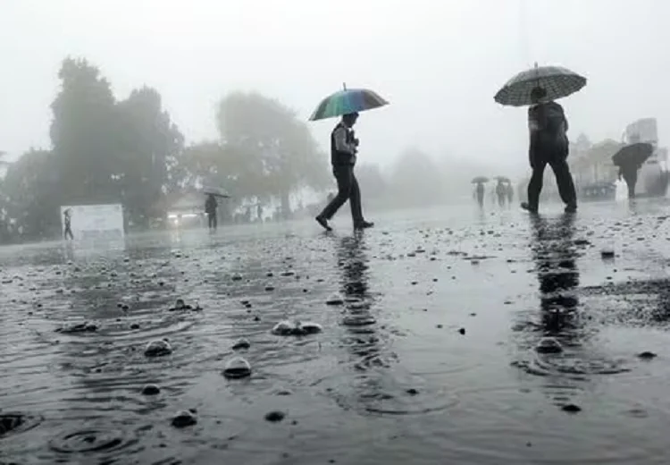 Punjab Weather News