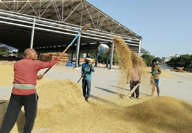 ਖਰੀਫ ਸੀਜ਼ਨ 2026